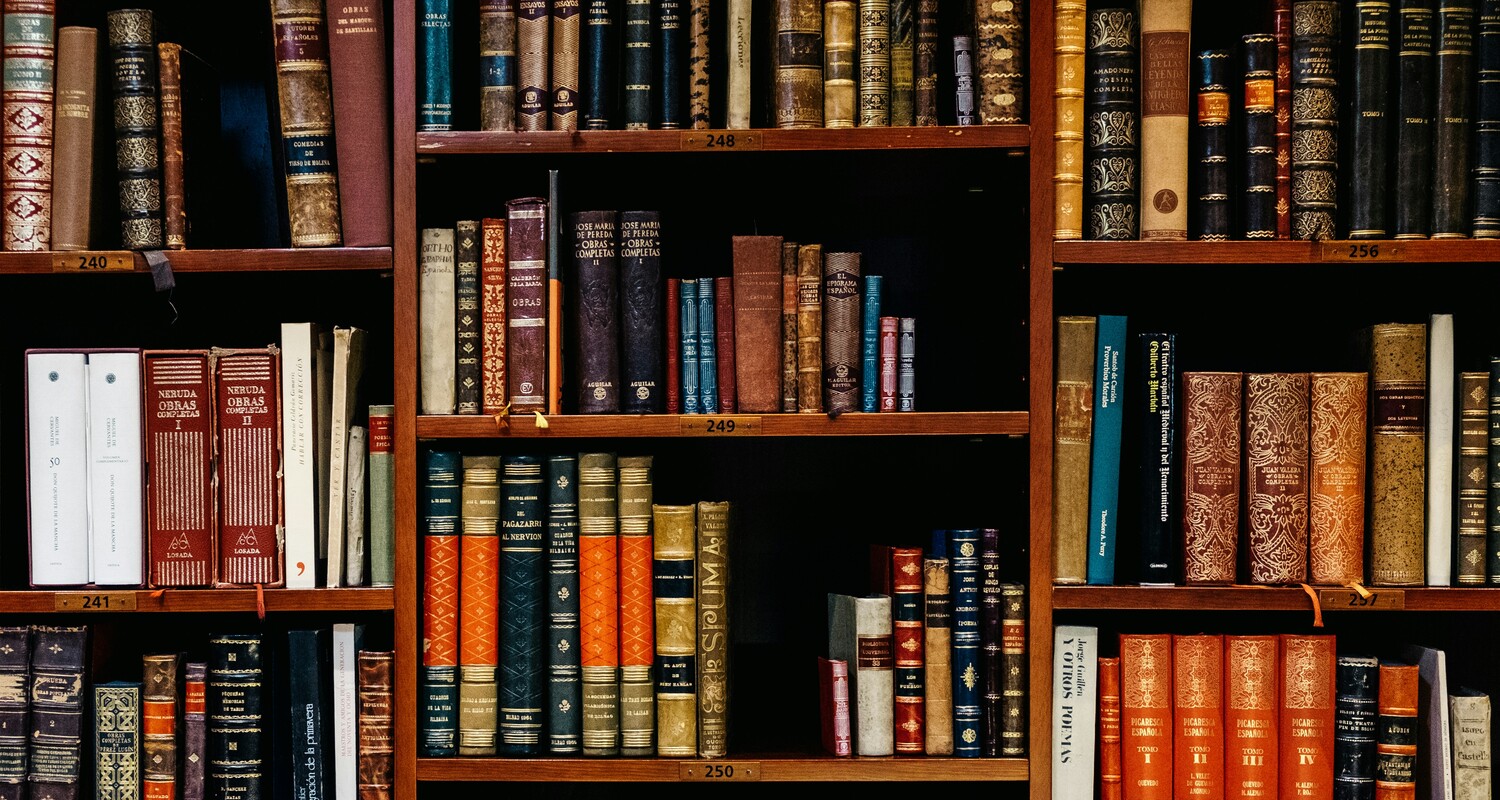 a shelf full of books